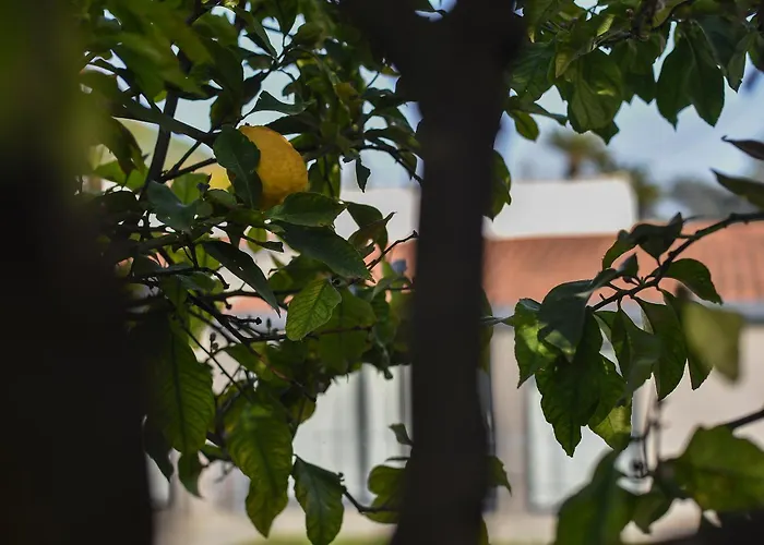 Hébergement de vacances Harmonia